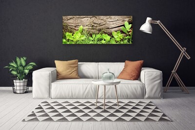 Foto op canvas Leaves of grass bloemen