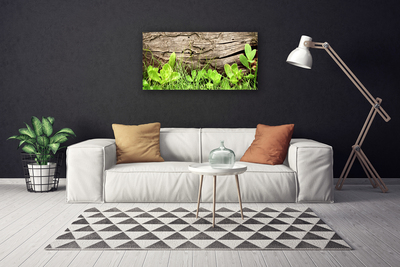 Foto op canvas Leaves of grass bloemen