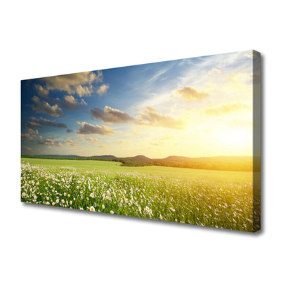 Foto op canvas Bloemen weidelandschap