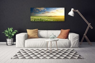 Foto op canvas Bloemen weidelandschap