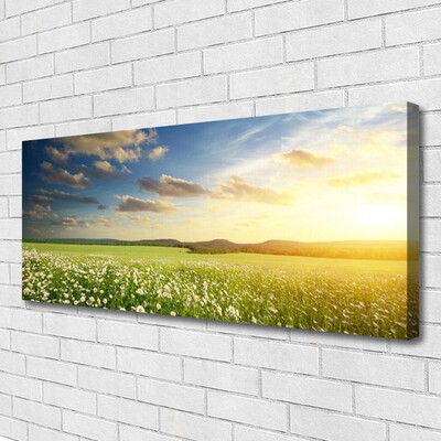 Foto op canvas Bloemen weidelandschap