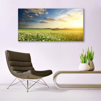 Foto op canvas Bloemen weidelandschap