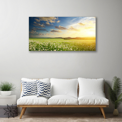 Foto op canvas Bloemen weidelandschap