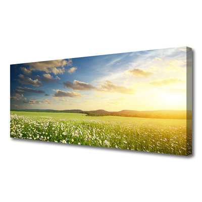 Foto op canvas Bloemen weidelandschap