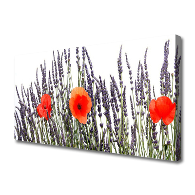 Foto op canvas Poppies gebied van het gras