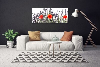 Foto op canvas Poppies gebied van het gras