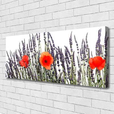 Foto op canvas Poppies gebied van het gras