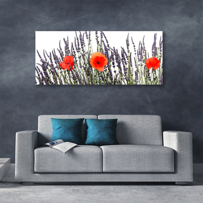 Foto op canvas Poppies gebied van het gras