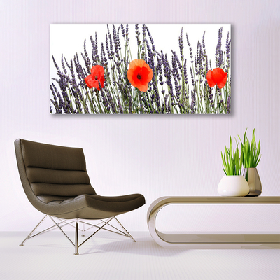 Foto op canvas Poppies gebied van het gras