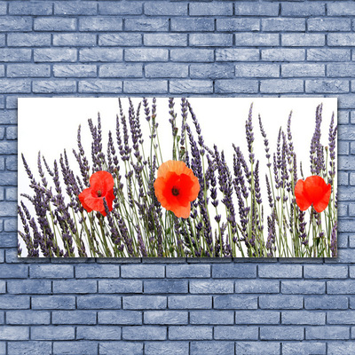 Foto op canvas Poppies gebied van het gras