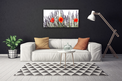 Foto op canvas Poppies gebied van het gras