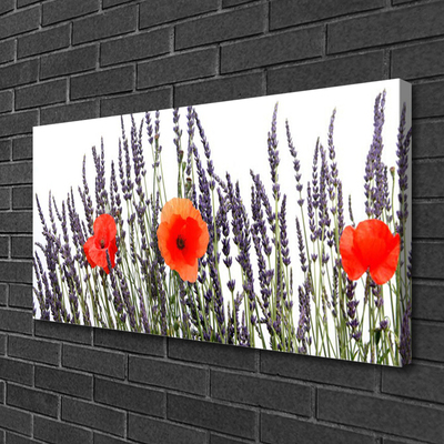 Foto op canvas Poppies gebied van het gras