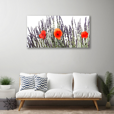 Foto op canvas Poppies gebied van het gras