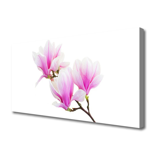 Foto op canvas Bloemen plant nature