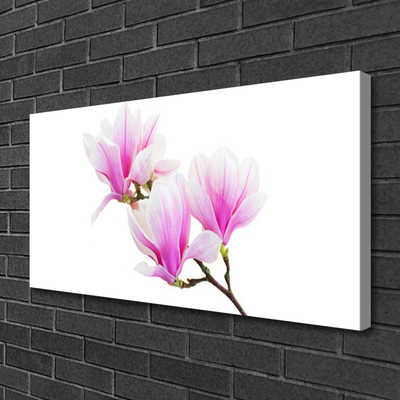 Foto op canvas Bloemen plant nature