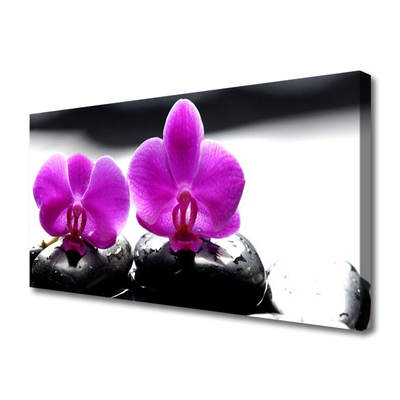 Foto op canvas Orchideebloemen nature