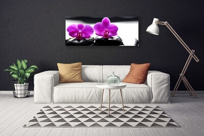 Foto op canvas Orchideebloemen nature