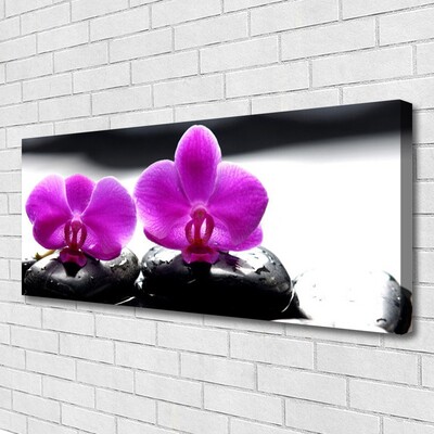 Foto op canvas Orchideebloemen nature