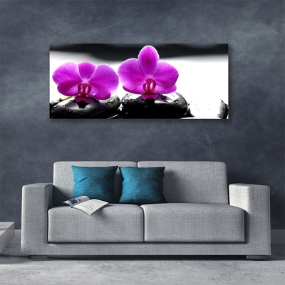 Foto op canvas Orchideebloemen nature