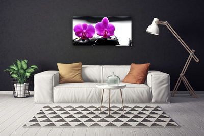 Foto op canvas Orchideebloemen nature