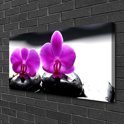 Foto op canvas Orchideebloemen nature