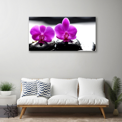 Foto op canvas Orchideebloemen nature