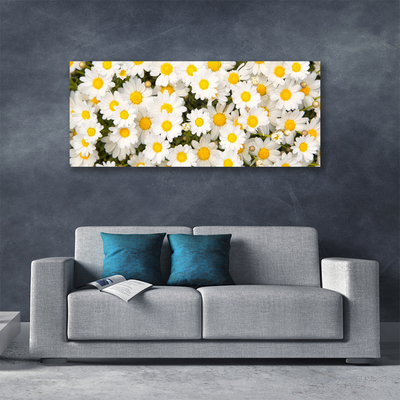 Foto op canvas Madeliefjes bloemen