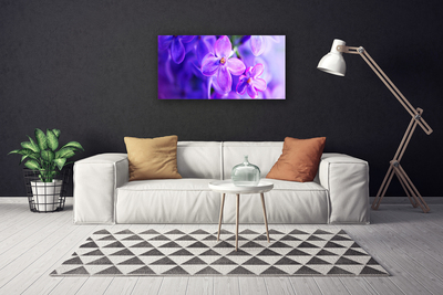 Foto op canvas Bloemen purple nature