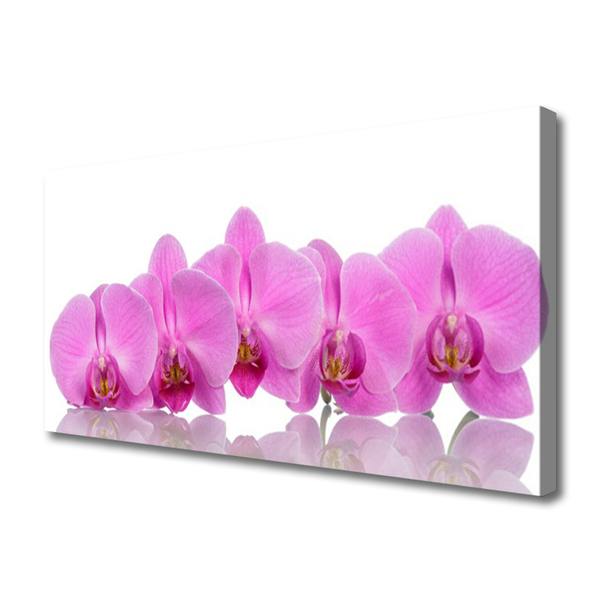 Foto op canvas Pink orchid flowers