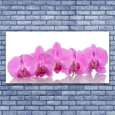 Foto op canvas Pink orchid flowers