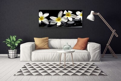 Foto op canvas Mooie bloem plumeria