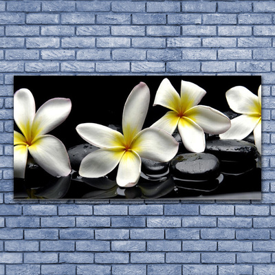 Foto op canvas Mooie bloem plumeria