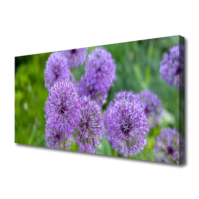 Foto op canvas Purple weidebloemen