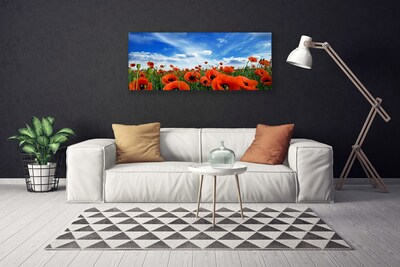 Foto op canvas Meadow poppies bloemen