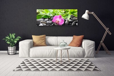 Foto op canvas Orchideebloemen plant