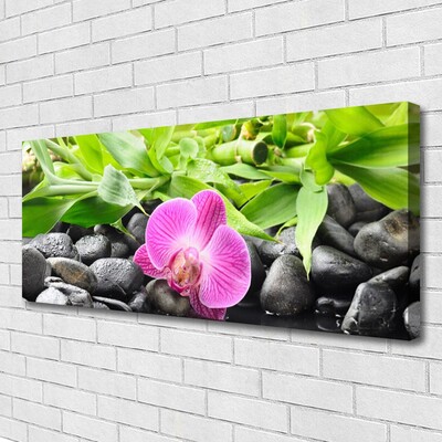 Foto op canvas Orchideebloemen plant