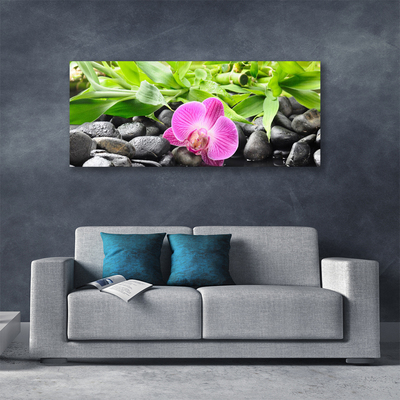 Foto op canvas Orchideebloemen plant