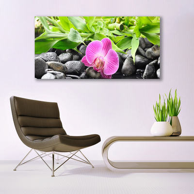 Foto op canvas Orchideebloemen plant