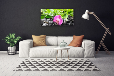 Foto op canvas Orchideebloemen plant