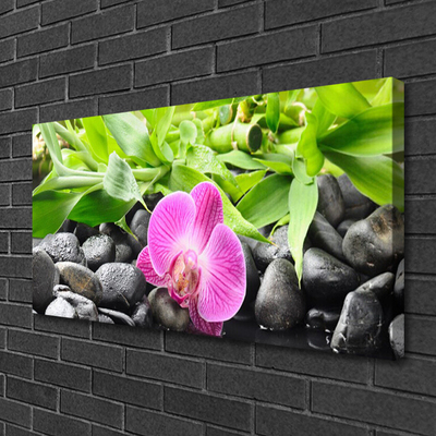 Foto op canvas Orchideebloemen plant