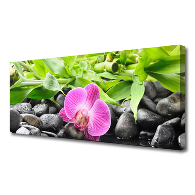 Foto op canvas Orchideebloemen plant