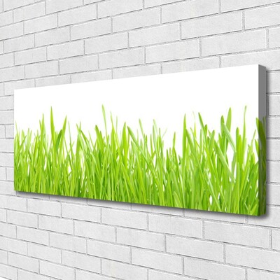 Foto op canvas Grass nature plant