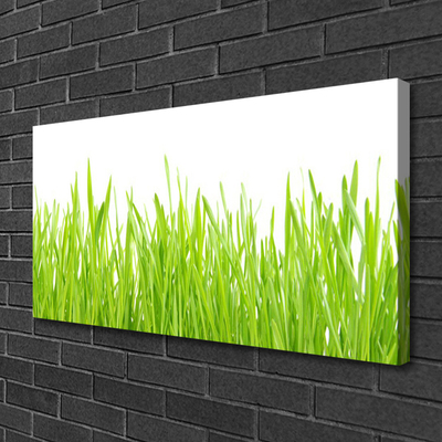 Foto op canvas Grass nature plant