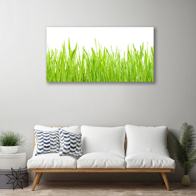 Foto op canvas Grass nature plant