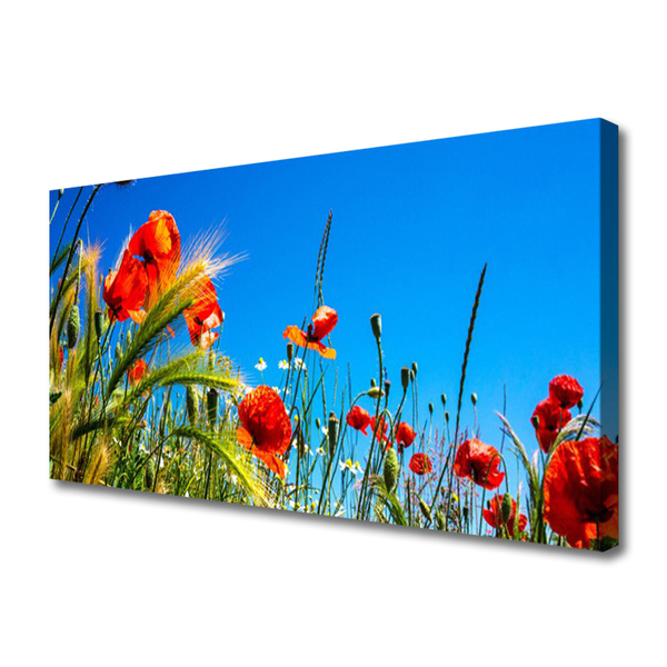 Foto op canvas Poppies gebied van het gras