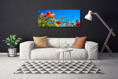 Foto op canvas Poppies gebied van het gras