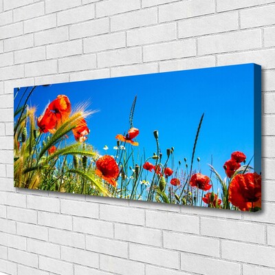 Foto op canvas Poppies gebied van het gras