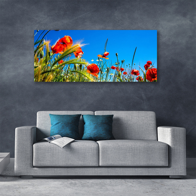 Foto op canvas Poppies gebied van het gras