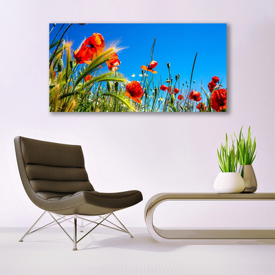 Foto op canvas Poppies gebied van het gras