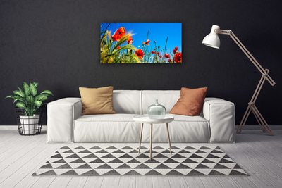 Foto op canvas Poppies gebied van het gras